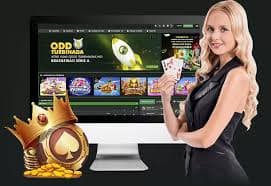 phtaya Mobile App Android iOS Platform Myanmar ပလက်ဖောင်း